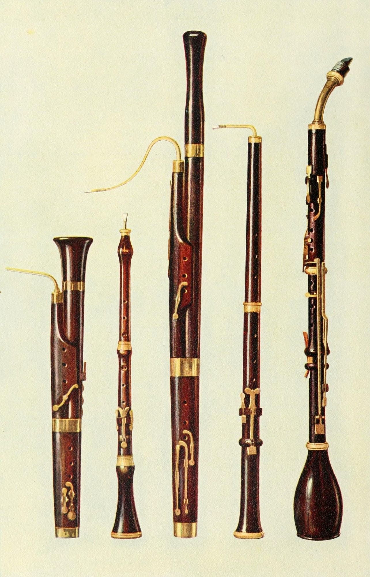 Musical Instruments 1921 Dolciano Oboes Bassoon Basset Horn Canvas Art - William Gibb (18 x 24)