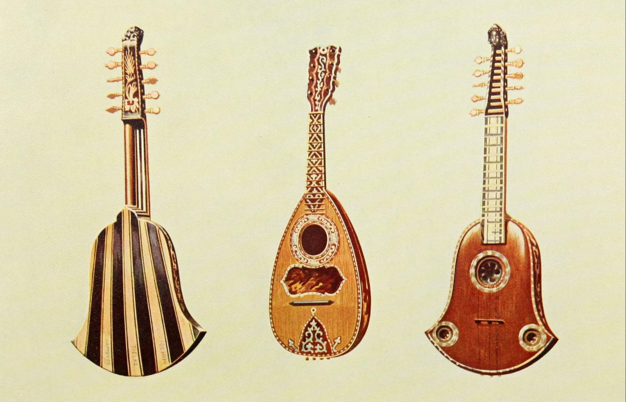 Musical Instruments 1921 Quinterna & Mandoline Canvas Art - William Gibb (24 x 36)