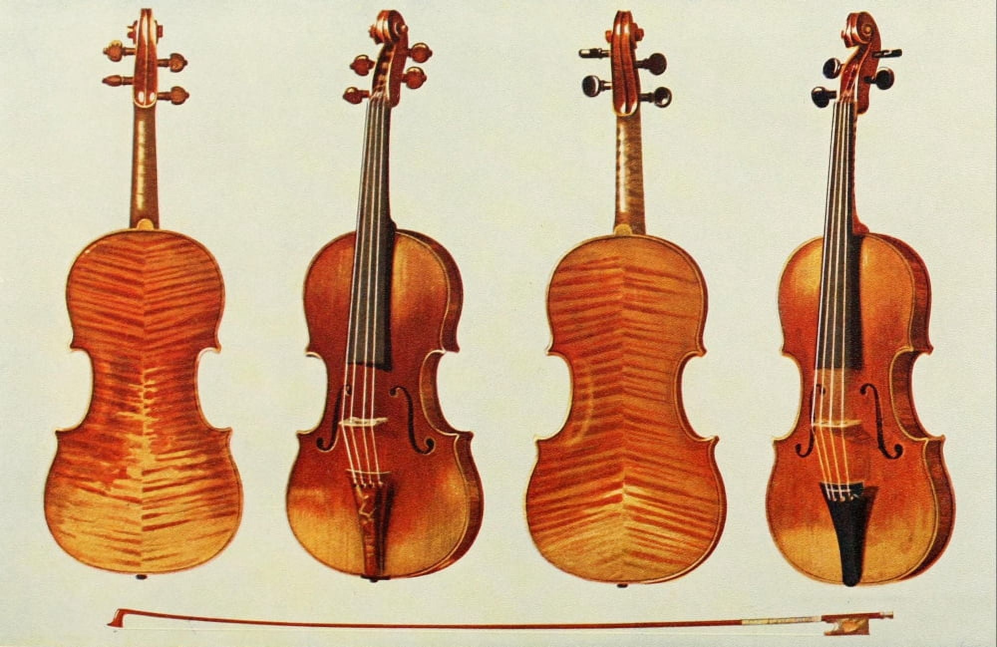 Musical Instruments 1921 Violins Canvas Art - William Gibb (18 x 24)