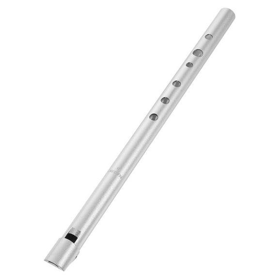 Musical Instruments Flute Recorder Metal for Beginner Child Student