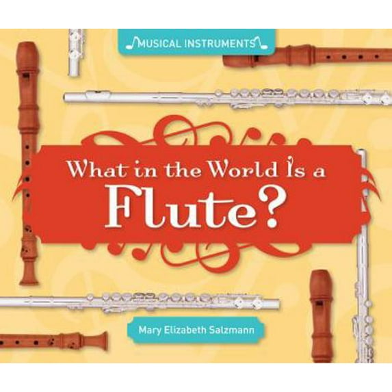 Pre-Owned What in the World Is a Flute? (Library Binding) 1617832057 9781617832055