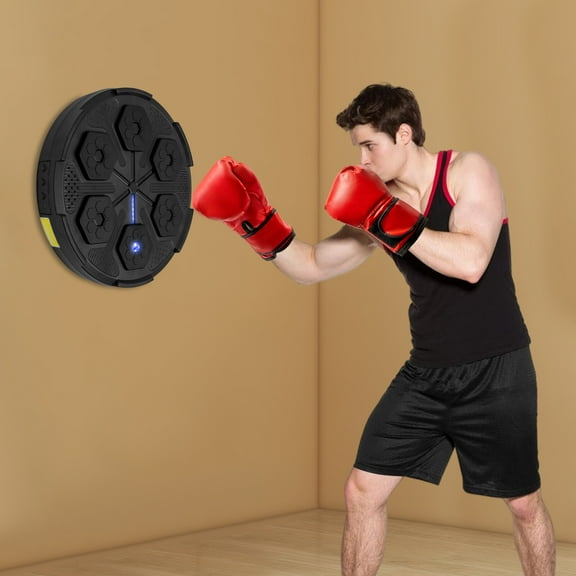 Musical Target Boxing Mat with Blue Light, Wall Mount Music Boxer for Indoor Home Workout