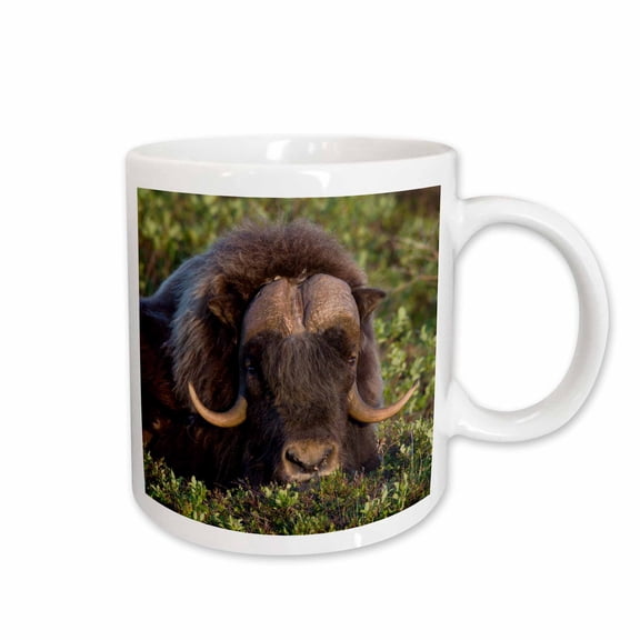 3drose, Musk Ox, 11oz Mug