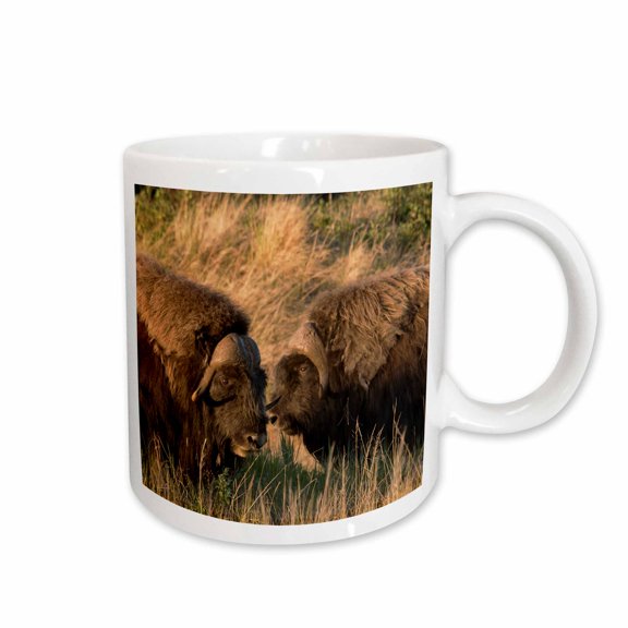 3drose, Musk Ox Bulls, 11oz Mug