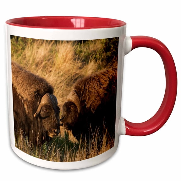 3drose, Musk Ox Bulls, 11oz Two-tone Red Mug