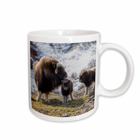 3drose, Musk Ox Watching over Young Calves., 11oz Mug