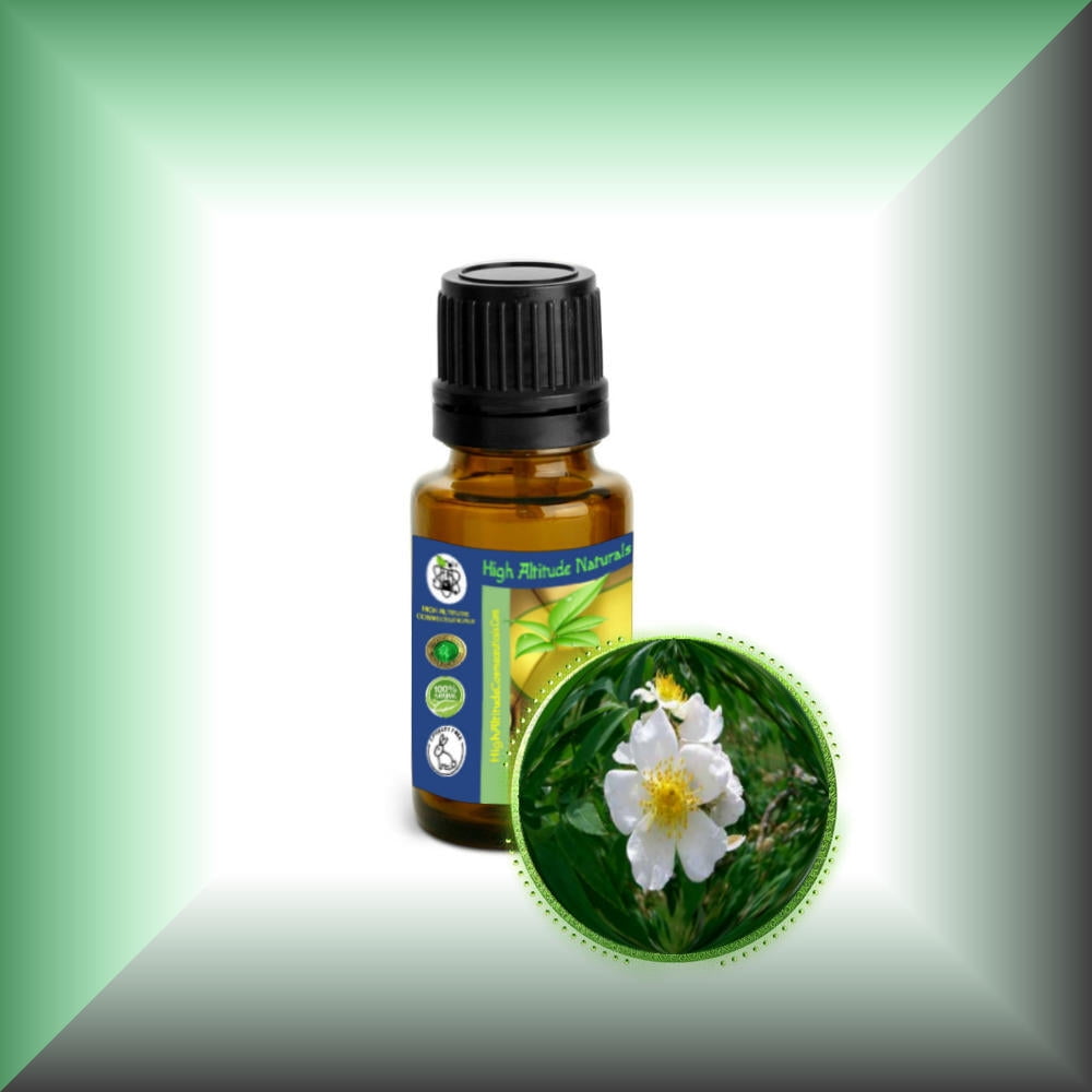 Musk Rose Essential Oil (Rosa Moschata), Size: 15ml (1/2oz)