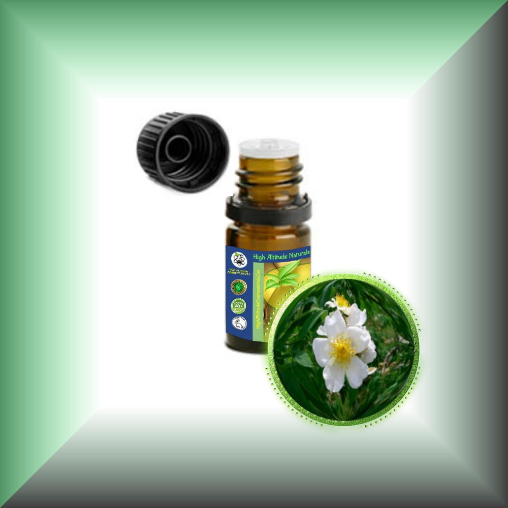 Musk Rose Essential Oil (Rosa Moschata)