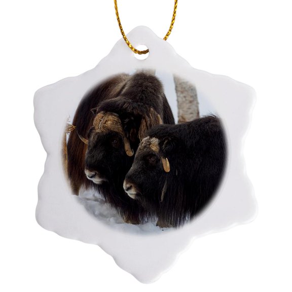 3drose, Muskox in Deep Snow During Winter. Bardu, Polar Park, Norway, 3 inch Snowflake Porcelain Ornament