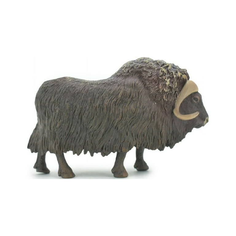 Muskox, musk ox, muskoxen, Museum Quality, Hand Painted, Realistic
