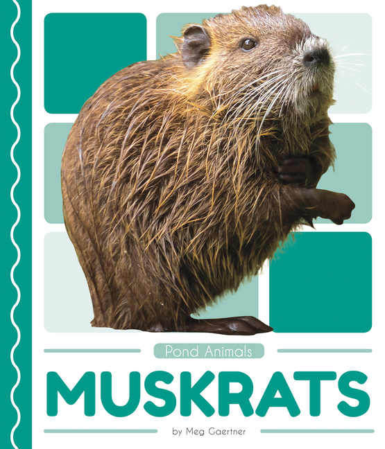 The Muskrats (3) – Young And Restless PPCBS_THEYOUNGANDTHERESTLESS_1