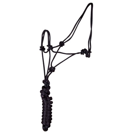 Jeffers Equine Poly Braided Rope Horse Halter with 8ft Lead Rope – Adjustable Training Halter for Horses, Ponies, Colts, Mustangs – Durable Knot Halter for Groundwork, Barn, Ranch Use - Black