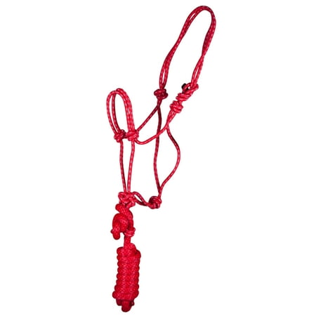 Mustang Economy Mountain Rope Halter/Lead Foal Blu