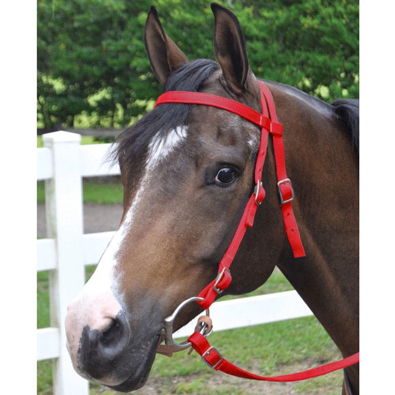 Mustang Horse Bridle