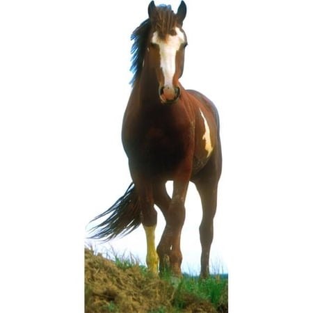 Mustang Horse Life-Size Cardboard Stand-Up
