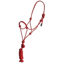 5/8in Halter withLead