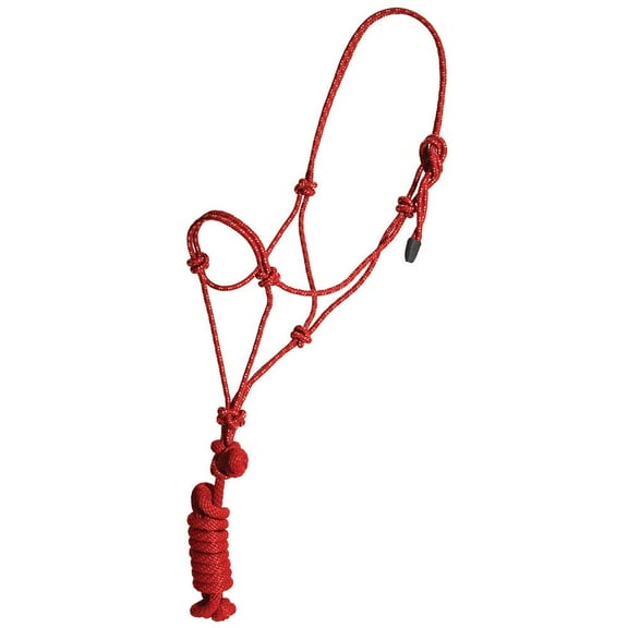 5/8in Halter withLead