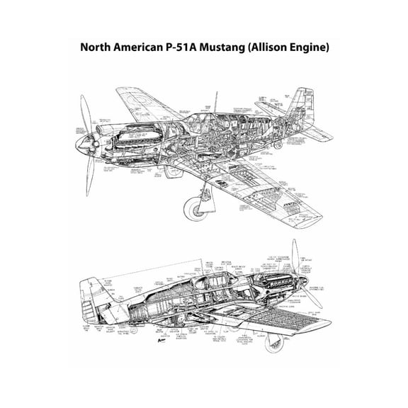 Mustang P51 Cutaway Poster 24inch x 36inch Art Poster 24x36 Multi-Color Square Adults Poster Time