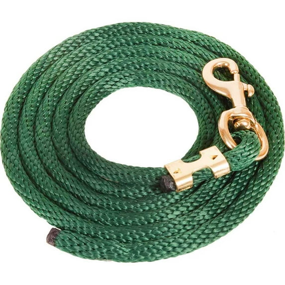Mustang Poly Lead Rope 9ft. with Bolt Snap, Hunter