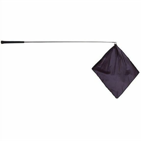 Mustang Training Flag