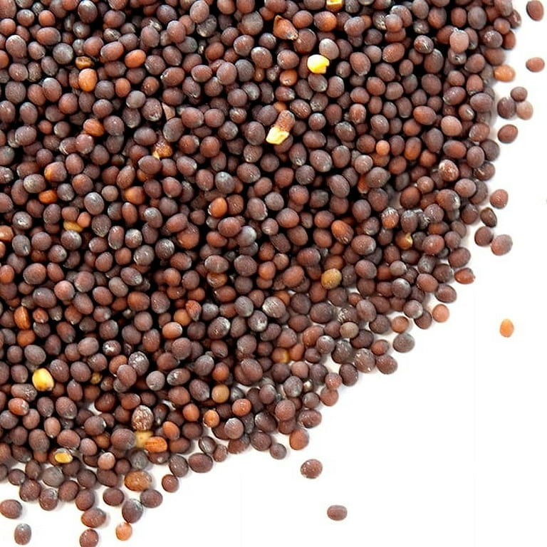 Mustard Seeds, Black - Walmart.com