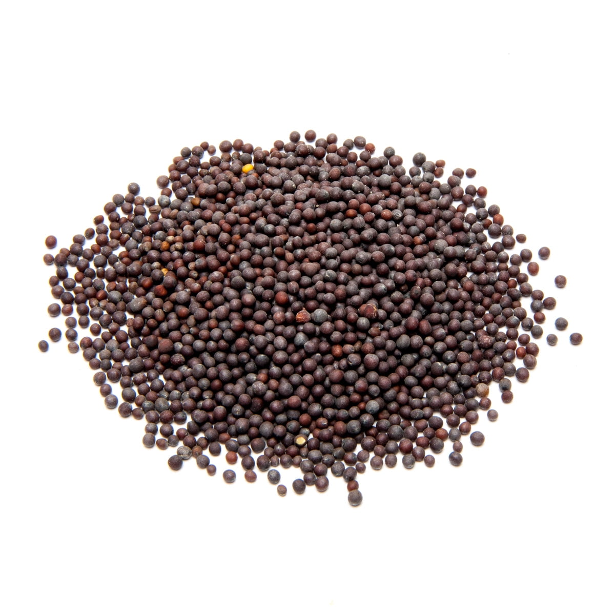 Aiva Mustard Seeds Brown Oz Walmart Com