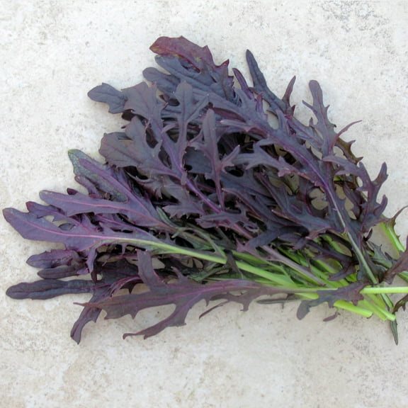 Mustard Seeds - Crimson Tide - 1 Oz ~7500 Seeds - Non-GMO, Heirloom - Vegetable Garden & Microgreens