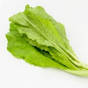 Mustard Seeds - Serifon (Suehlihung) - 3 g Packet ~1026 Seeds - Non-GMO, Heirloom - Asian Garden Vegetable, Microgreens & Herb Gardening