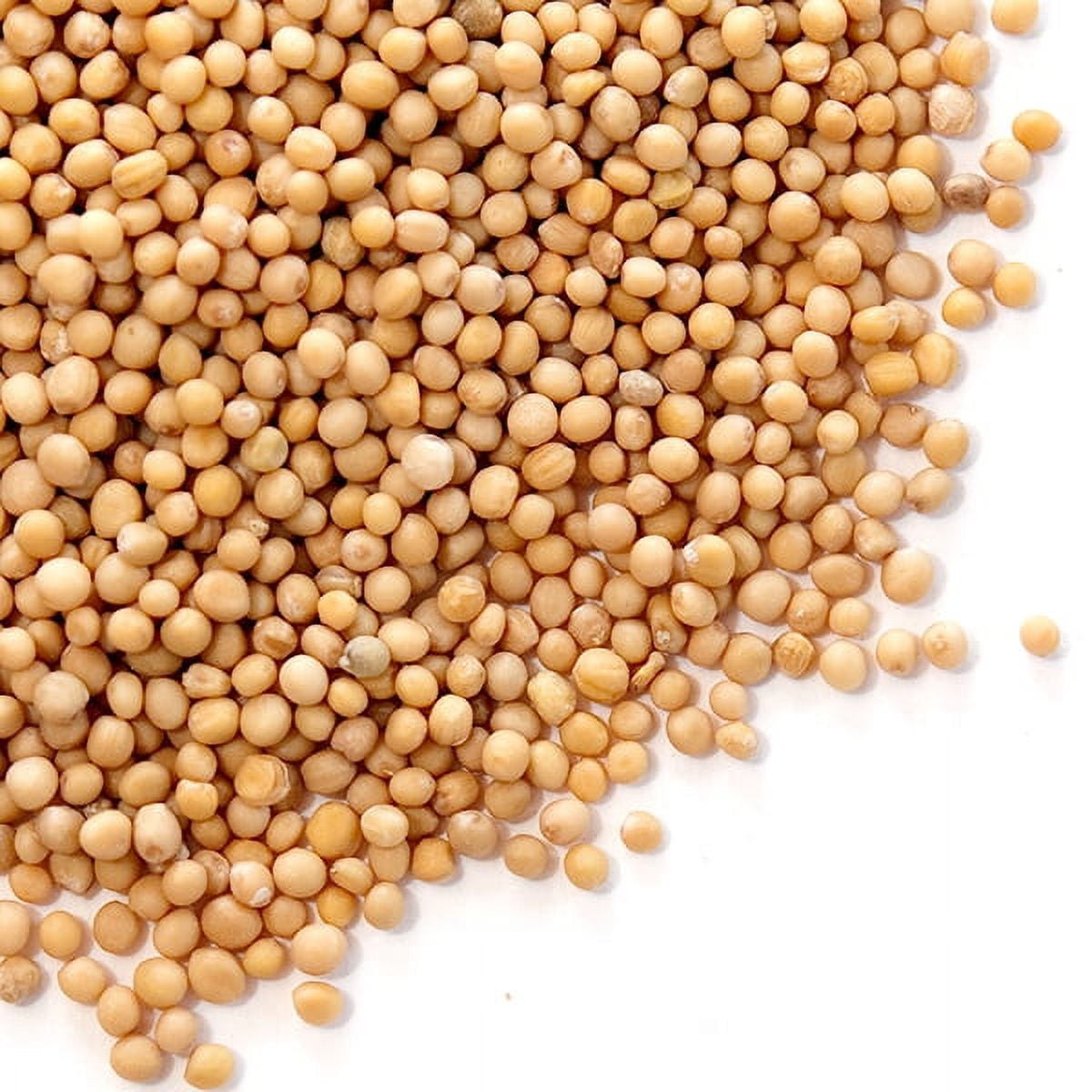 Mustard Seeds, Yellow - Walmart.com
