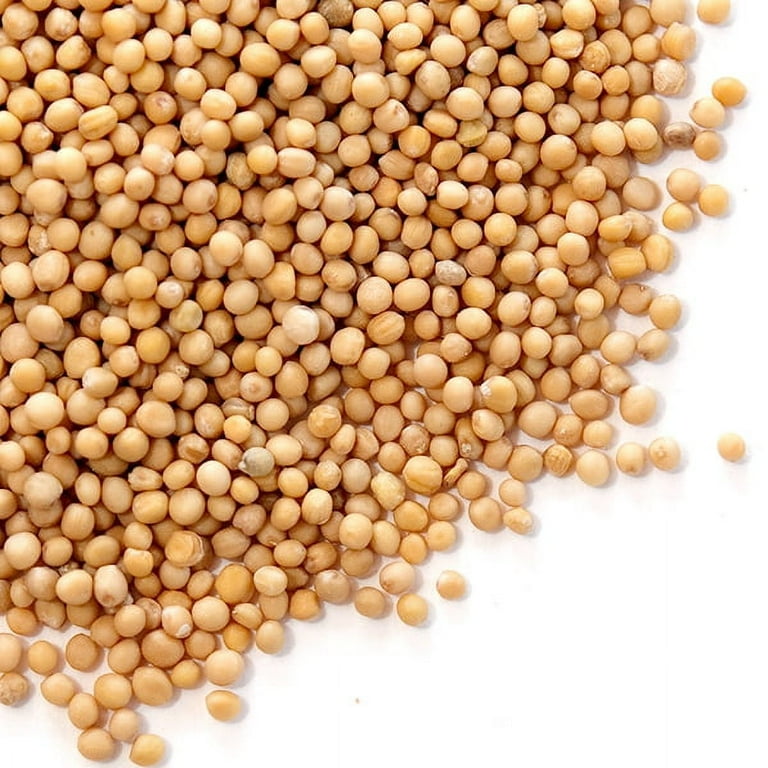 Mustard Seeds, Yellow - Walmart.com