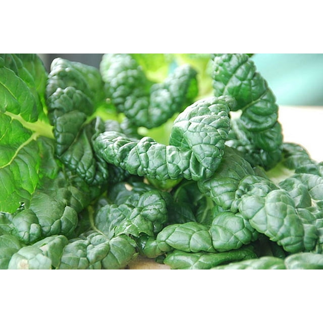 Mustard Tatsoi Great Heirloom MMF7 Vegetable by Seed Kingdom BULK