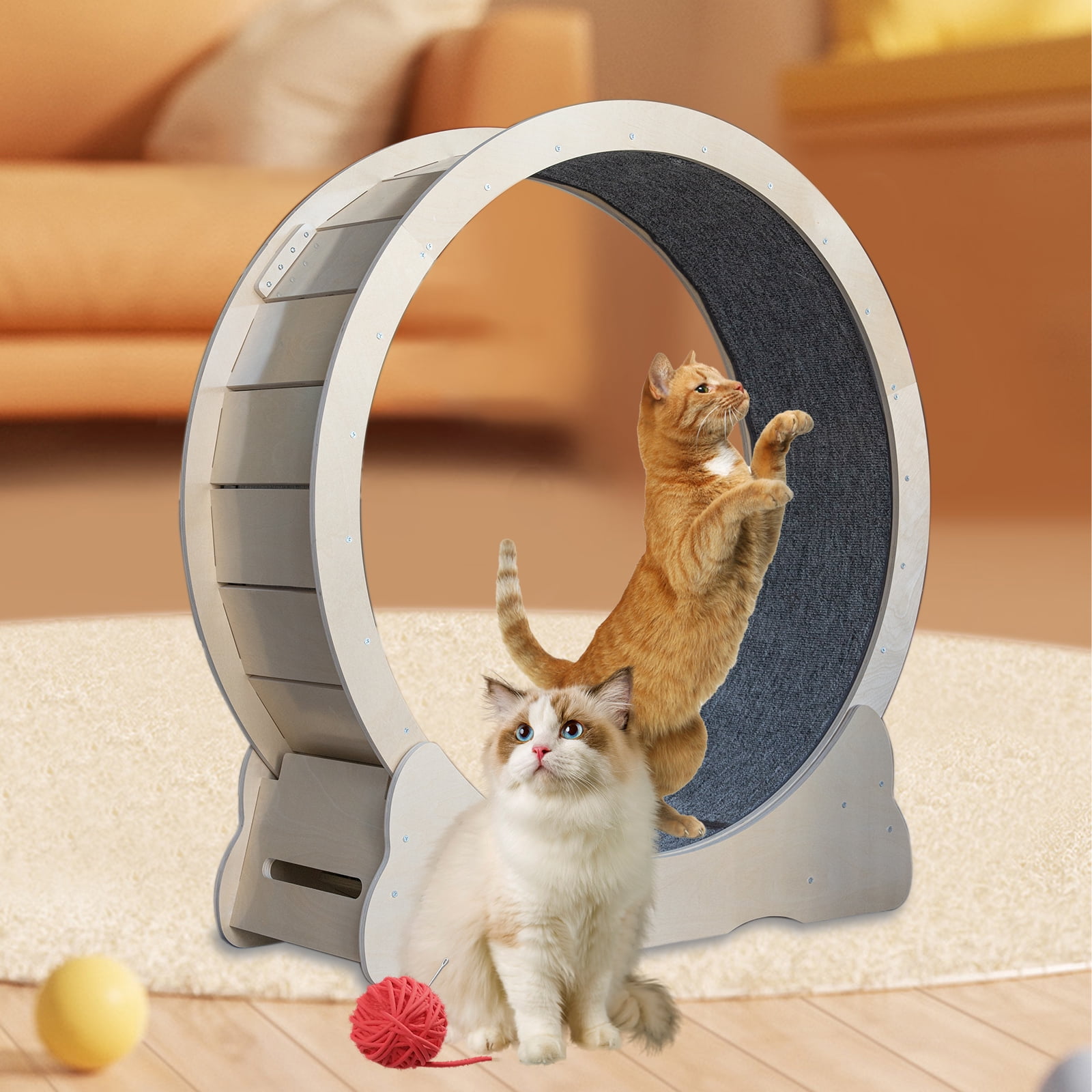 Cat Wheel Exerciser For Indoor Cats Cat Exercise Wheel Treadmill