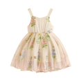 thumbnail image 1 of Musuos Kids Girl Princess Dress 9M 12M 18M 24M 3Y 4Y Sleeveless Floral Embroidery Tulle Dress Toddler Baby Cute Dress, 1 of 9