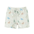 thumbnail image 1 of Musuos Toddler Boys Swim Shorts 6M 12M 18M 24M 3Y 4Y Casual Elastic Waist Cute Dinosaur Print Swim Trunks for Baby, 1 of 10