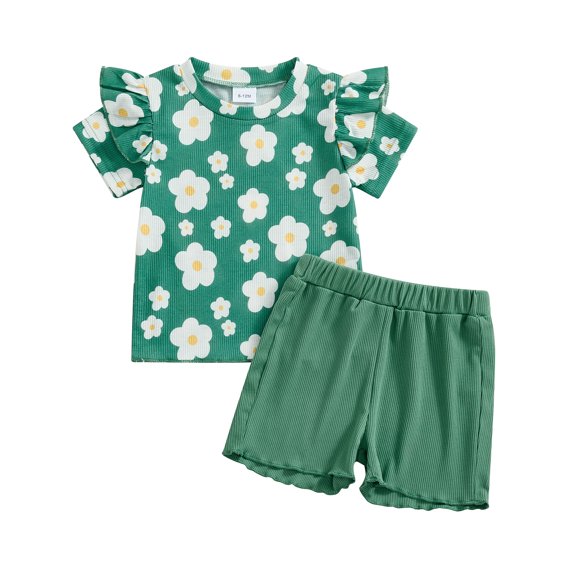 Musuos Toddler Girls Cute Summer Clothes Set, 6M 12M 18M 24M 3Y 4Y Short Sleeve Crew Neck Flower Print T-shirt with Solid Color Shorts