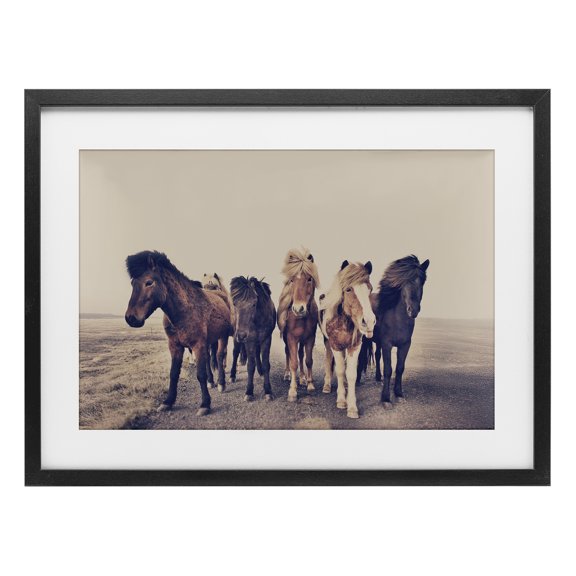 Stupell Industries Muted Brown Horse Group Black Framed Print Under Glass, design by Sisi and Seb