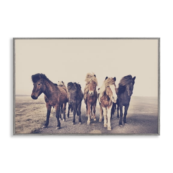 Stupell Industries Muted Brown Horse Group Gray Framed Giclee Art, design by Sisi and Seb