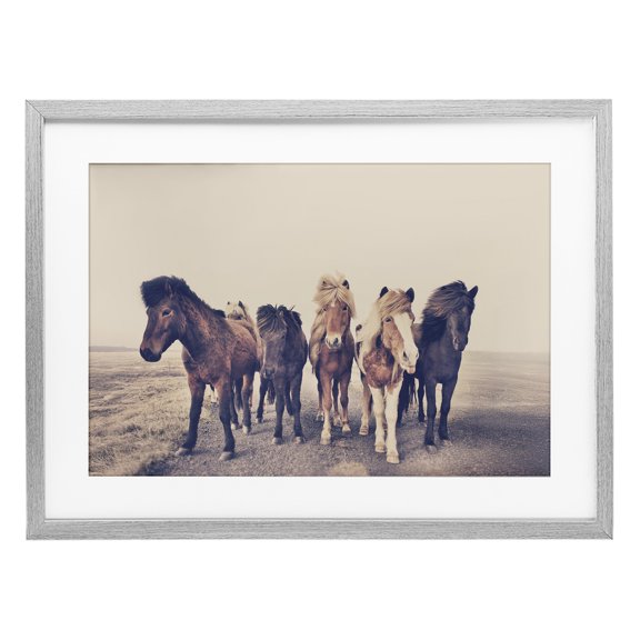 Stupell Industries Muted Brown Horse Group Gray Framed Print Under Glass, design by Sisi and Seb
