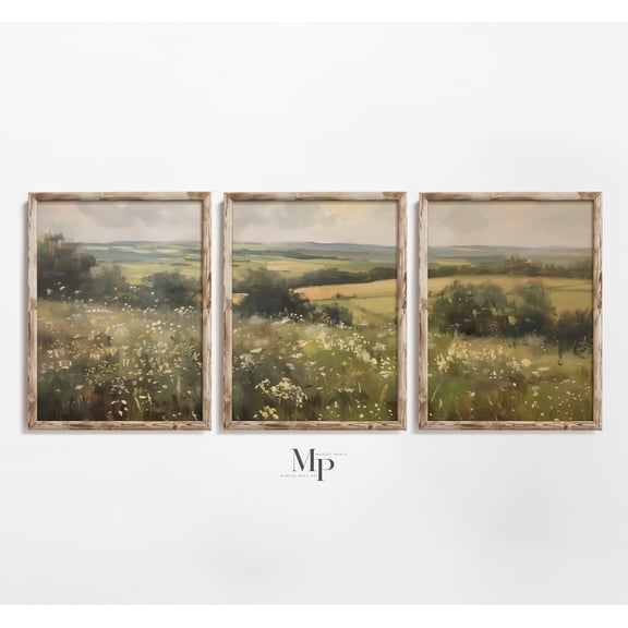 Muted Meadow Wildflowers Rustic Country Print Classic Spring Landscape Art Set 3 Stretched Canvas 16x24