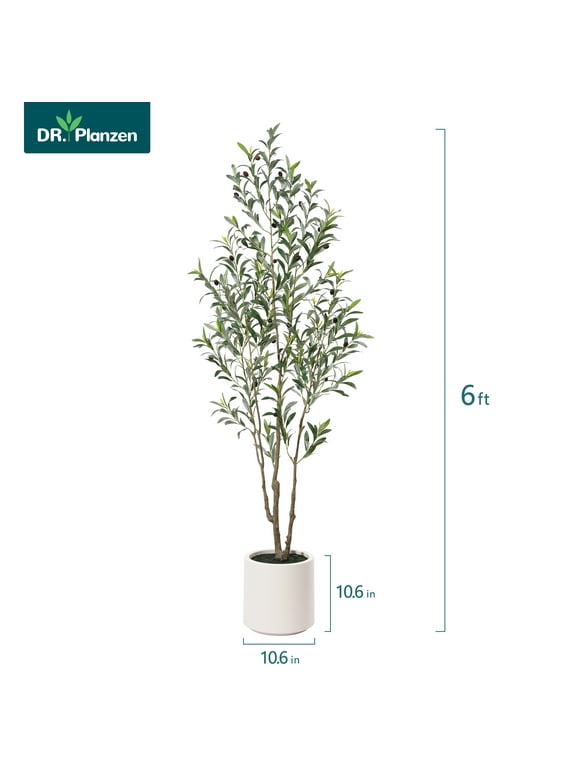 Muti-Trunk Olive Tree 6FT Artificial Plants with 10.6 inches Large White Planter. 10 lb. DR.Planzen