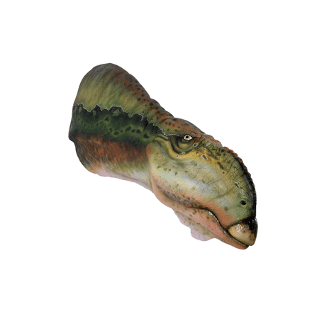 Muttaburrasaurus Dinosaur Head Life Size Statue