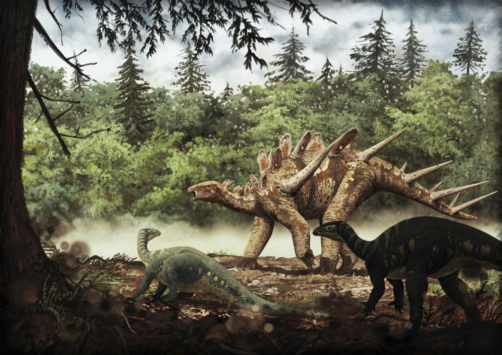 Mutualistic relationship between Dacentrurus armatus and Draconyx loureiroi Canvas Art - Roman Garcia MoraStocktrek Images (34 x 24)