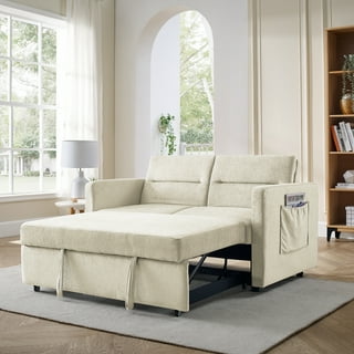 Loveseat with hideaway bed deals