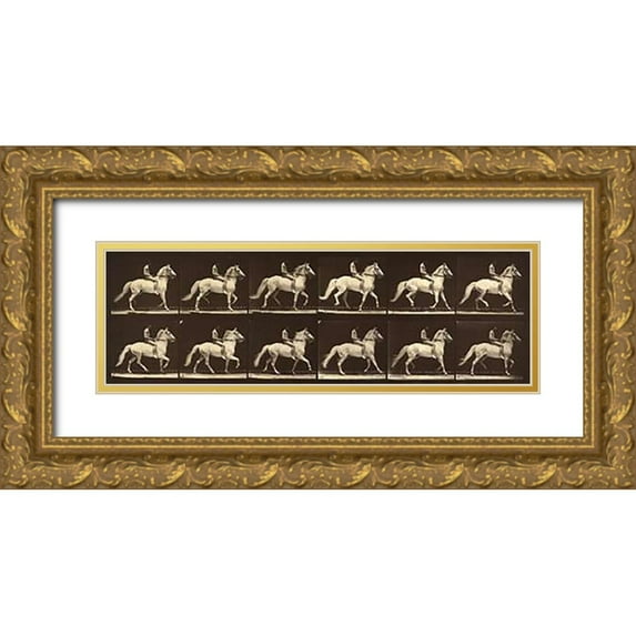 Muybridge, Eadweard J. 32x13 Gold Ornate Wood Framed with Double Matting Museum Art Print Titled - Motion Study: Man Riding A Horse