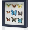 thumbnail image 1 of Muzilife 8x8 inch Wood Shadow Box Picture Frame Home Decor with Linen Board Deep Glass Display Case, Navy Blue, 1 of 8