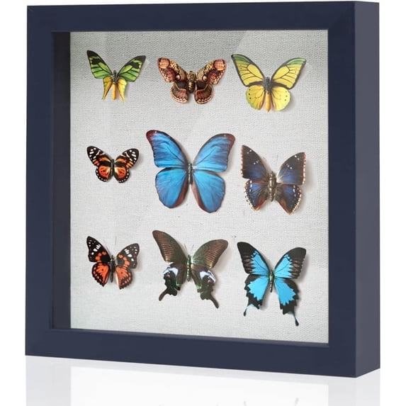 Muzilife 8x8 inch Wood Shadow Box Picture Frame Home Decor with Linen Board Deep Glass Display Case, Navy Blue