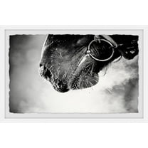 Muzzle 8 in x 12 in Framed Painting Art Prints, by Marmont Hill