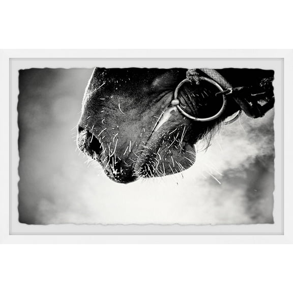 Muzzle 8 in x 12 in Framed Painting Art Prints, by Marmont Hill