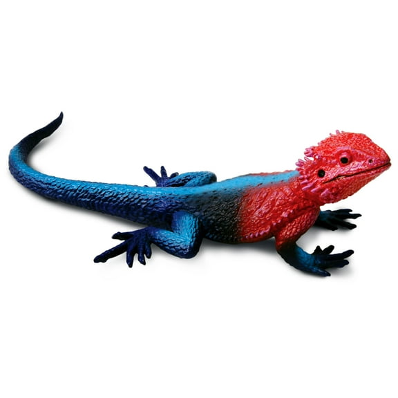 Safari Ltd. Mwanza Flat-Headed Rock Agama Lizard Figurine - Realistic 9.5" Figure - Educational Toy for Boys, Girls & Kids Ages 3+