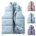 thumbnail image 1 of Mwjwdo Men's Thick Warm Vest Loose Fit Cotton Padded Sleeveless Jacket Solid Color Casual Winter Waistcoat Light Blue XXXXXL, 1 of 9